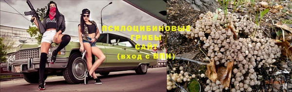 ПСИЛОЦИБИНОВЫЕ ГРИБЫ Балабаново