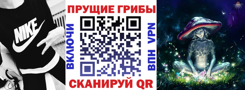 Псилоцибиновые грибы Psilocybine cubensis  Белёв 